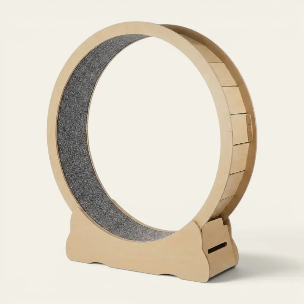 Jouets pour chat d'appartement avec roue XXL en bois robuste permettant aux chats de courir, jouer et entretenir leur forme.