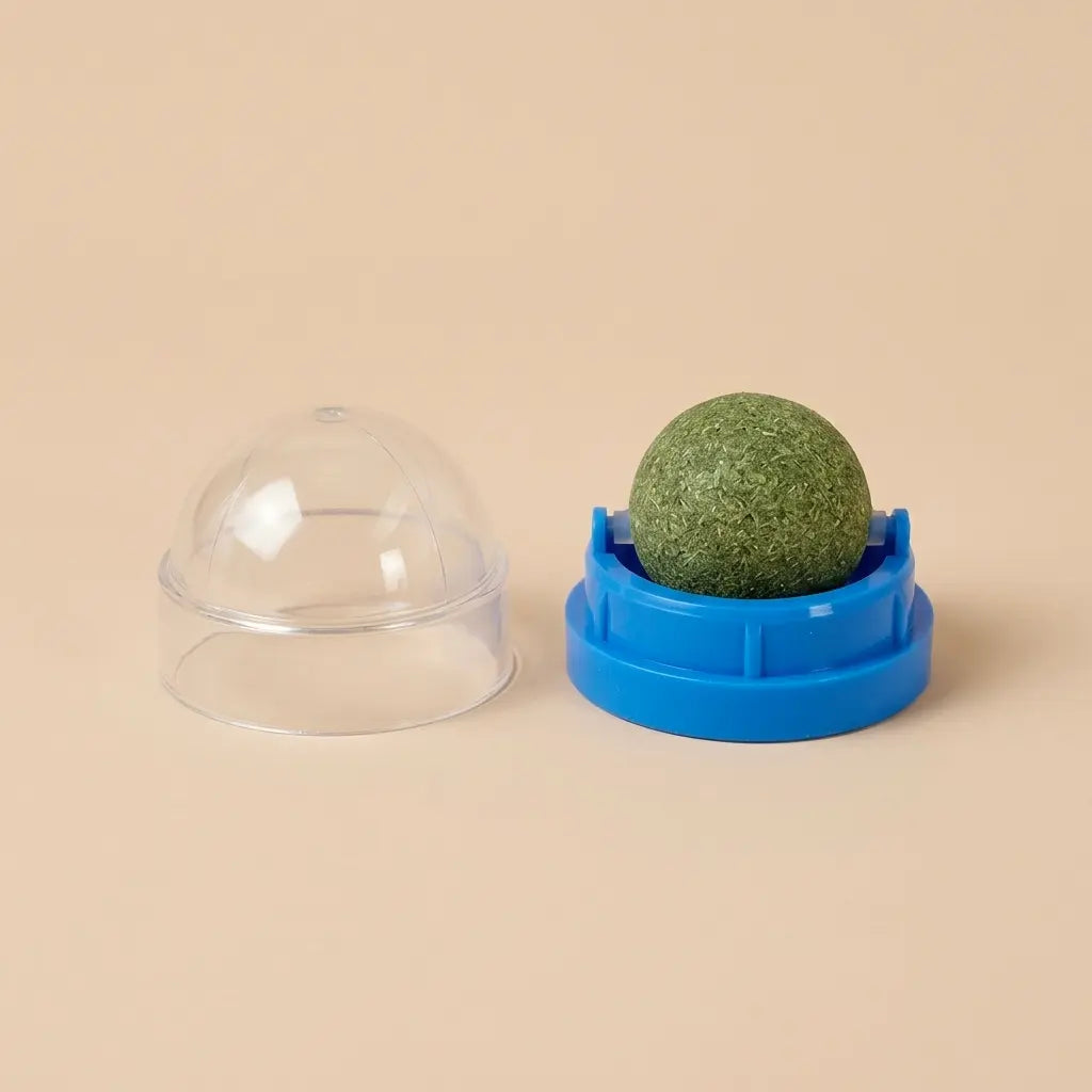 jouet herbe à chat boule naturelle sur support bleu avec couvercle