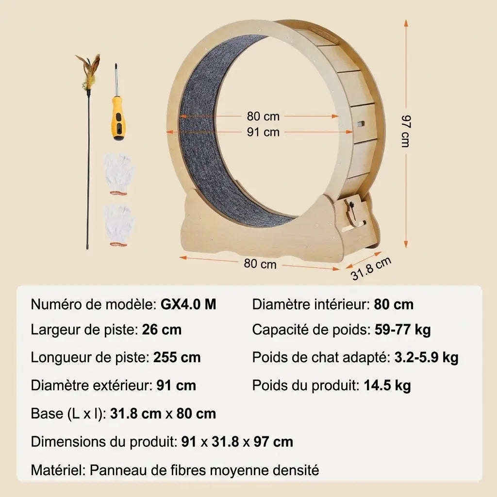 roue d’exercice pour chat d’appartement avec dimensions détaillées