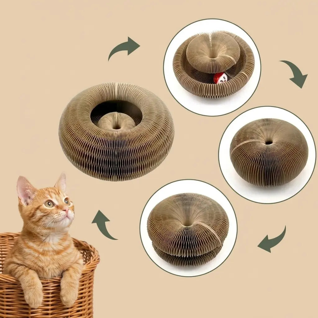 Jouet griffoir accordéon multifonction pour chat d’intérieur