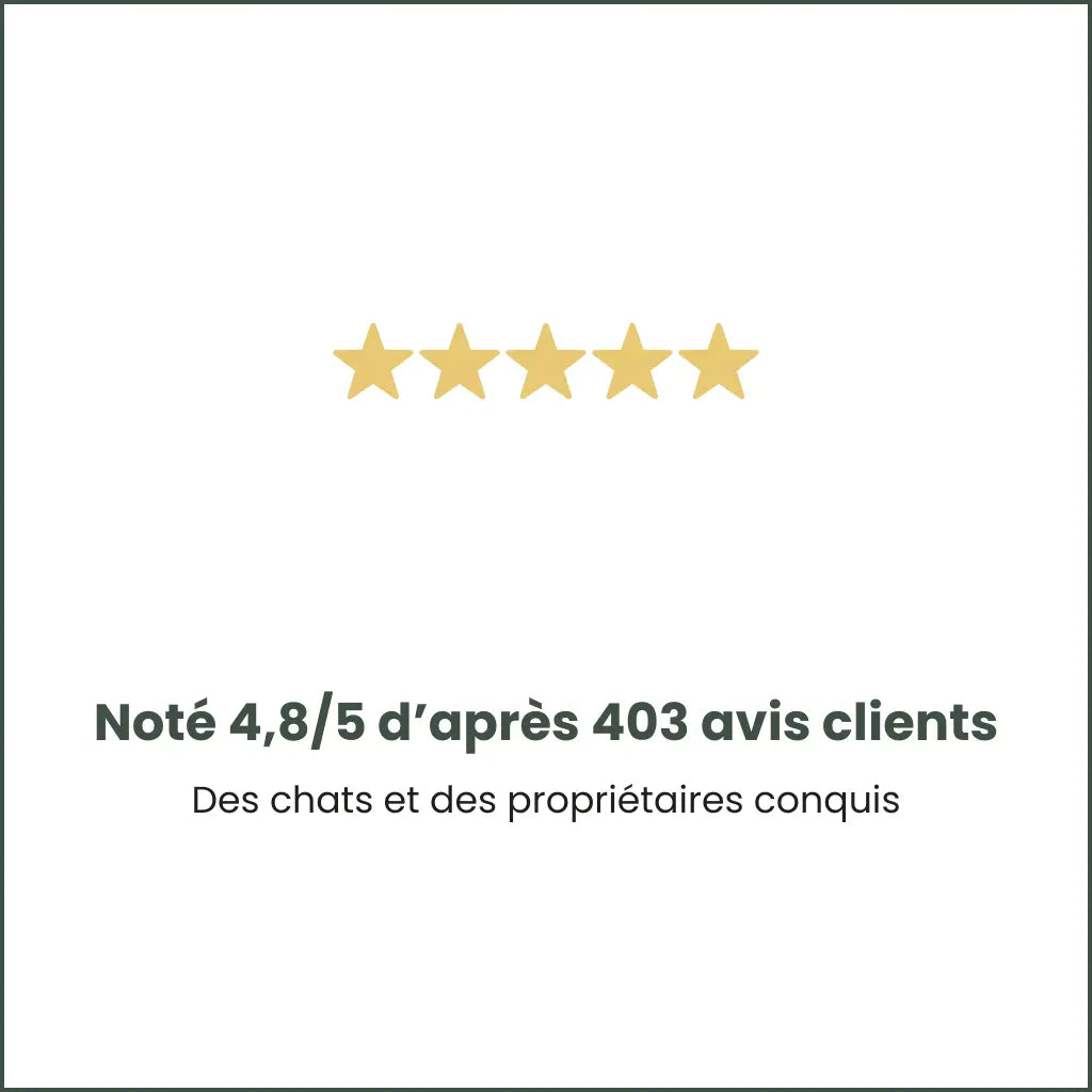 Avis clients Felyx Cat avec note 4,8 sur 5 basée sur des centaines de clients satisfaits