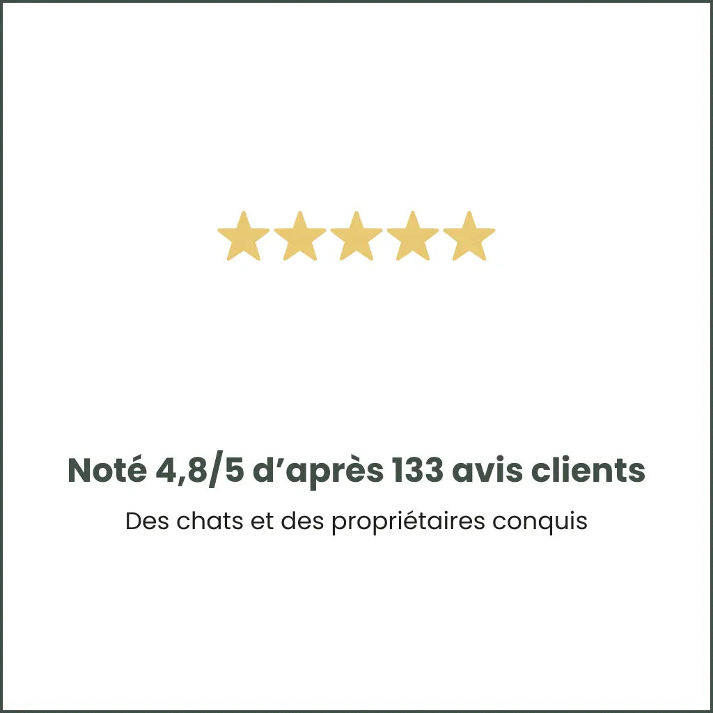 Avis clients Felyx Cat avec note 4,8 sur 5 basée sur des centaines de clients satisfaits