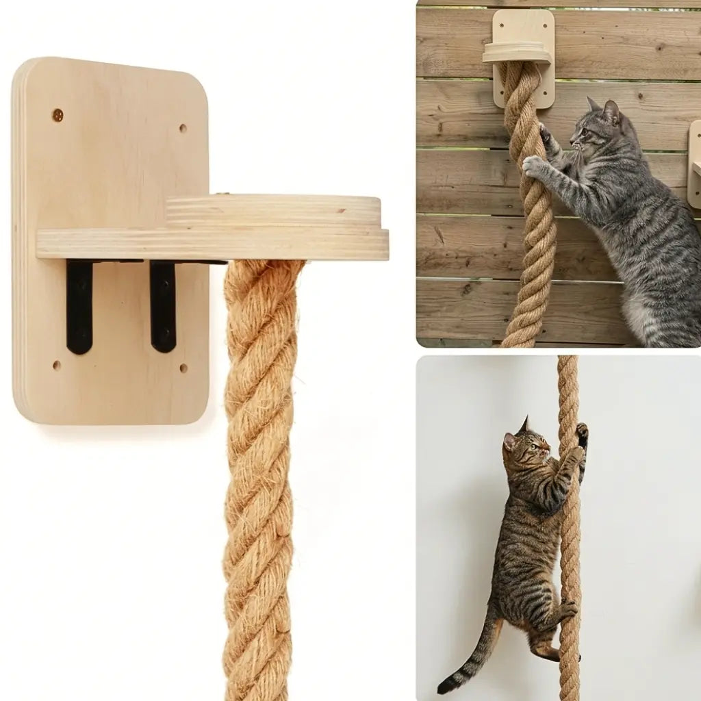 chat en train de grimper sur une corde griffoir pour chat