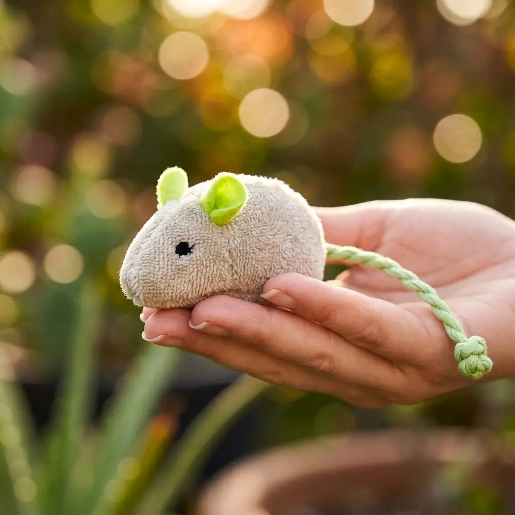 doudou pour chat en peluche beige tenu dans une main avec corde