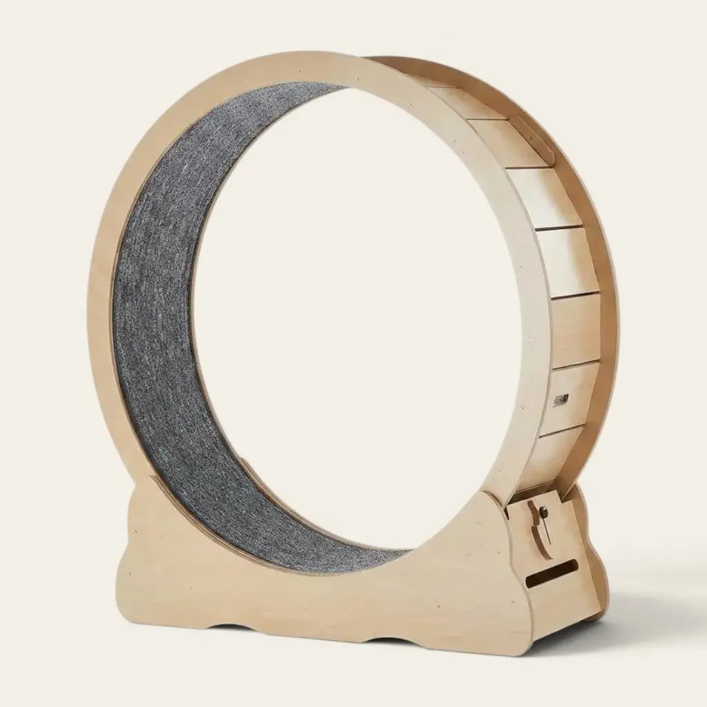 Jouets pour chat d'appartement avec roue de course en bois clair offrant un espace sécurisé pour courir et se dépenser.