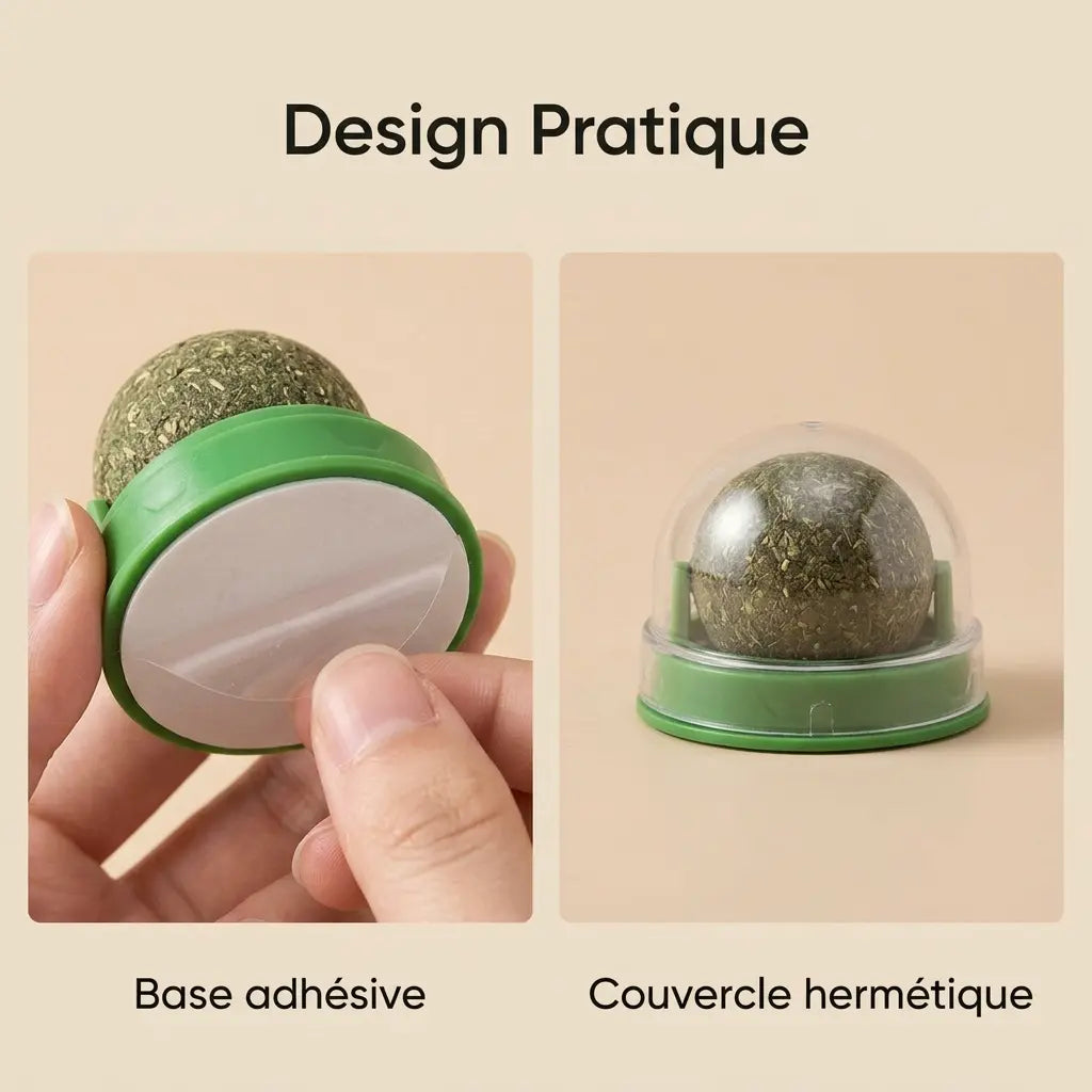 jouet herbe à chat avec base adhésive et couvercle protecteur pour chat
