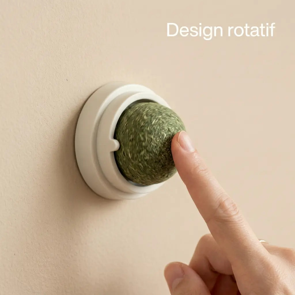 gros plan sur jouet herbe à chat rotatif fixé au mur avec doigt qui appuie