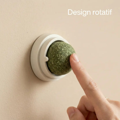 gros plan sur jouet herbe à chat rotatif fixé au mur avec doigt qui appuie