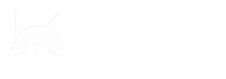 Logo Felyxcat blanc pour footer Home Page