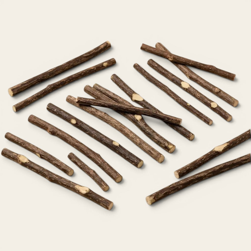 ensemble de bâtonnets naturels jouet dentaire chat pour mastication et hygiène