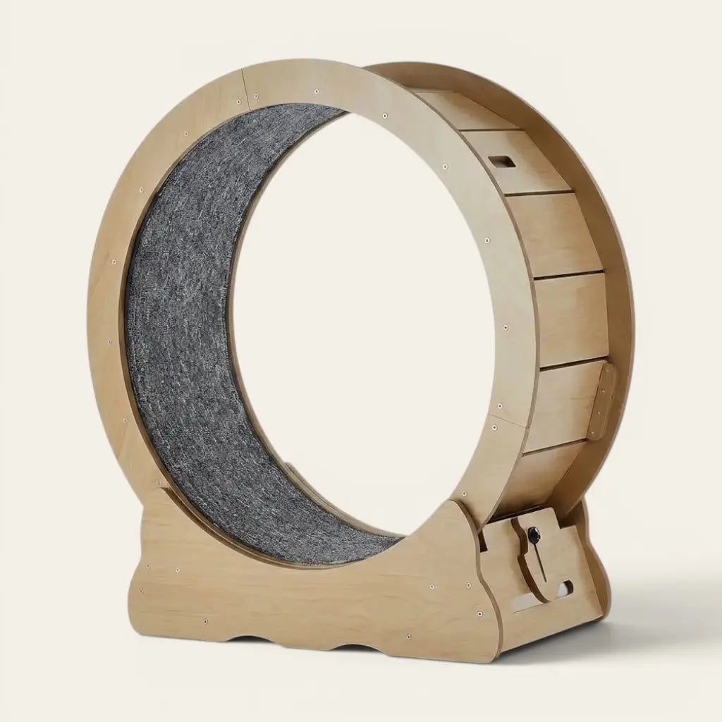 Jouets pour chat d'appartement sous forme de roue d’exercice en bois naturel conçue pour stimuler l’activité quotidienne du félin.