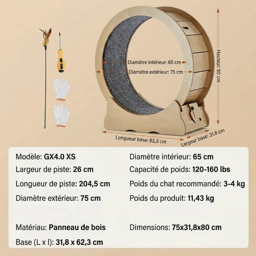 petite roue d’exercice pour chat adaptée appartement