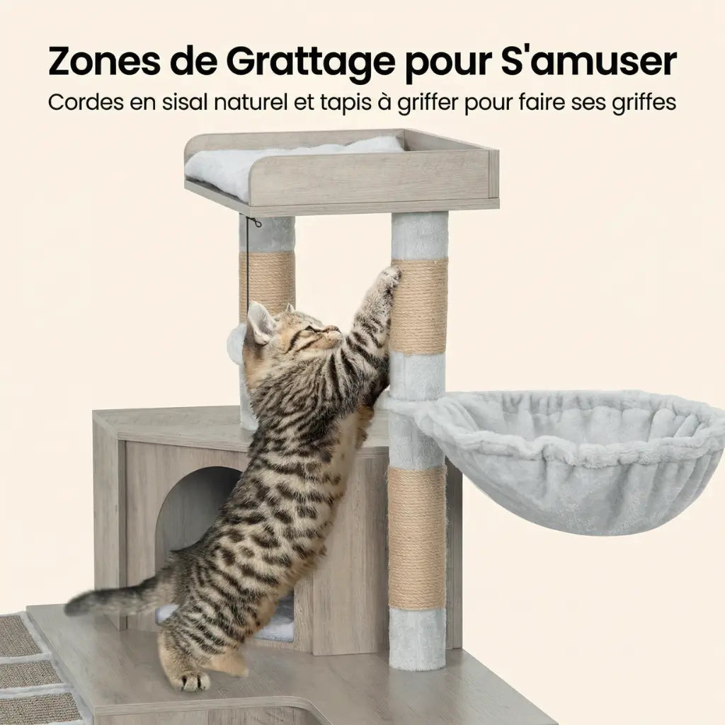 achat arbre moderne avec chat qui griffe poteaux en sisal et meuble design pour chat