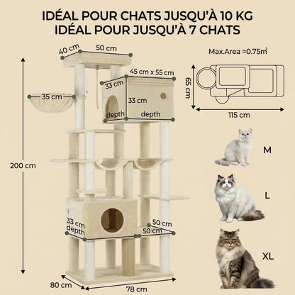 arbre à chat 2 mètres avec dimensions détaillées, structure robuste adaptée à plusieurs chats  