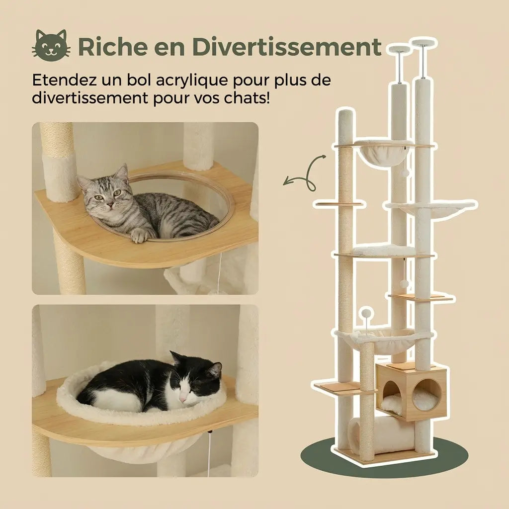 arbre à chat au plafond avec bol acrylique hamacs et plateformes pour plus de divertissement