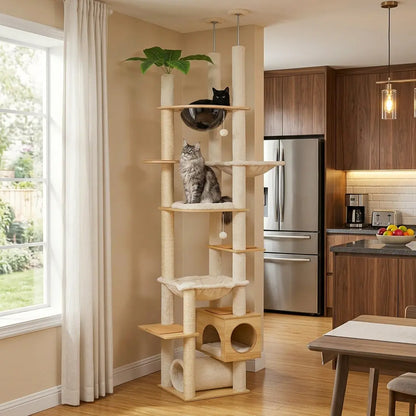 arbre à chat au plafond installé près d'une cuisine avec plateformes hamacs et niche en bois