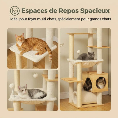 arbre à chat au plafond avec espaces de repos spacieux pour grands chats et foyer multi-chats
