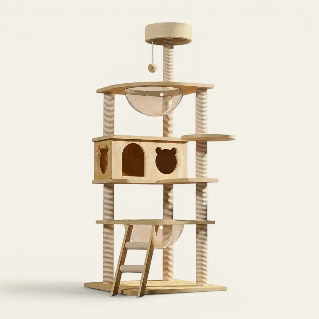 Arbre à chat beige bois premium avec couchage transparent en bulle, niche design et griffoirs en sisal pour chats curieux et actifs.