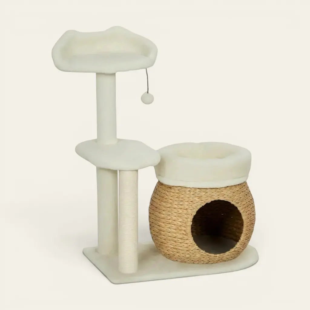 arbre à chat blanc avec niche en osier et plateforme pour chat intérieur