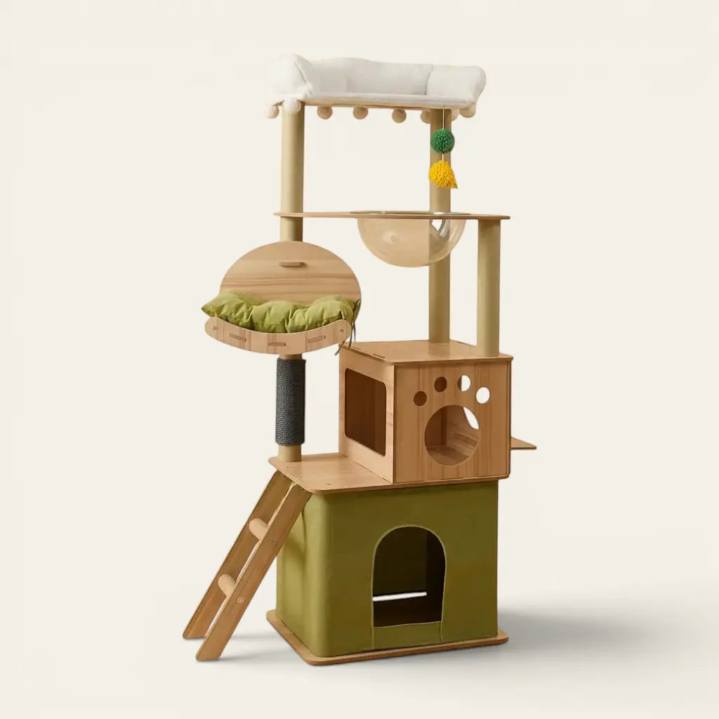 Arbre à chat en bois flotté avec niches spacieuses, coussin confortable, bulle transparente et espace de jeu pour chats d'intérieur