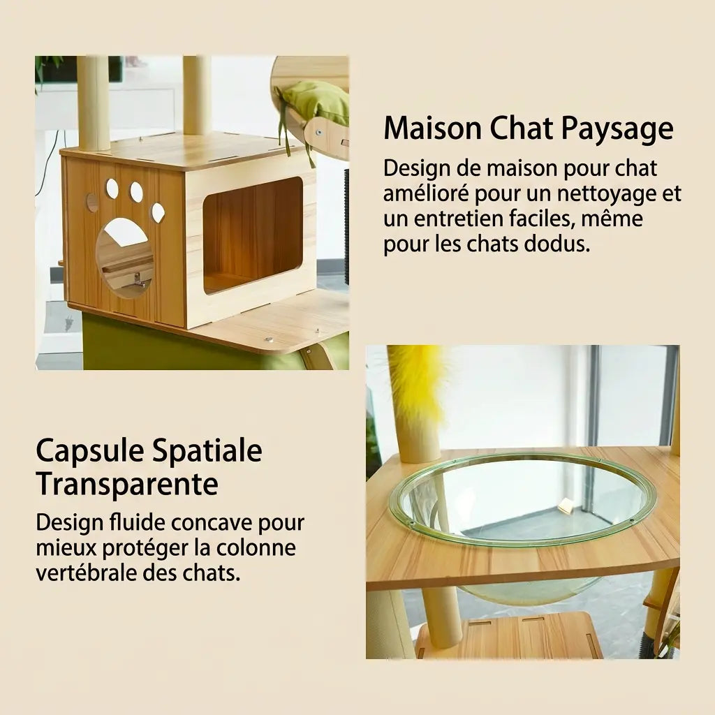 détails arbre à chat en bois flotté avec capsule transparente et cabane