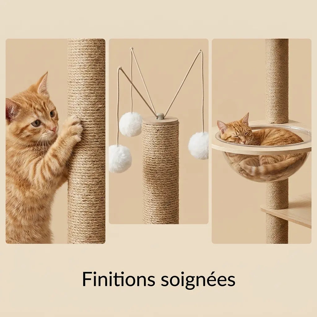 détails arbre à chat bois naturel avec poteau sisal et capsule transparente pour chat