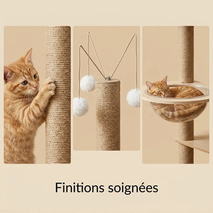 détails arbre à chat bois naturel avec poteau sisal et capsule transparente pour chat