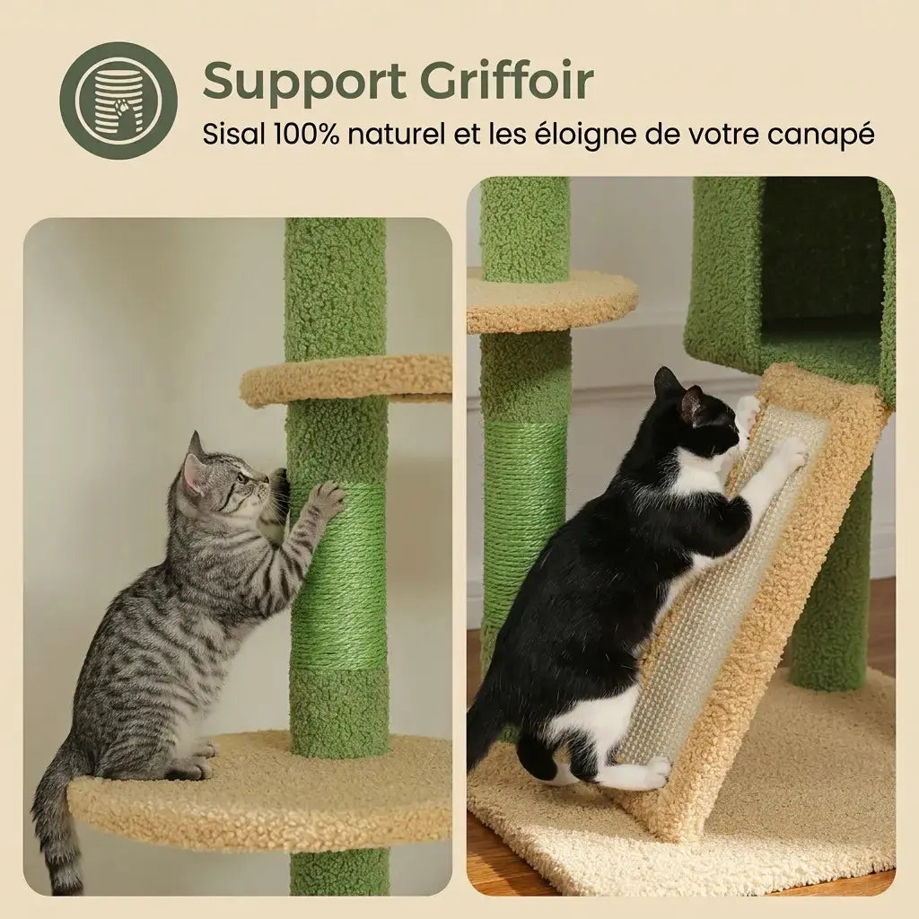 arbre à chat cactus avec poteaux griffoir en sisal naturel pour chat