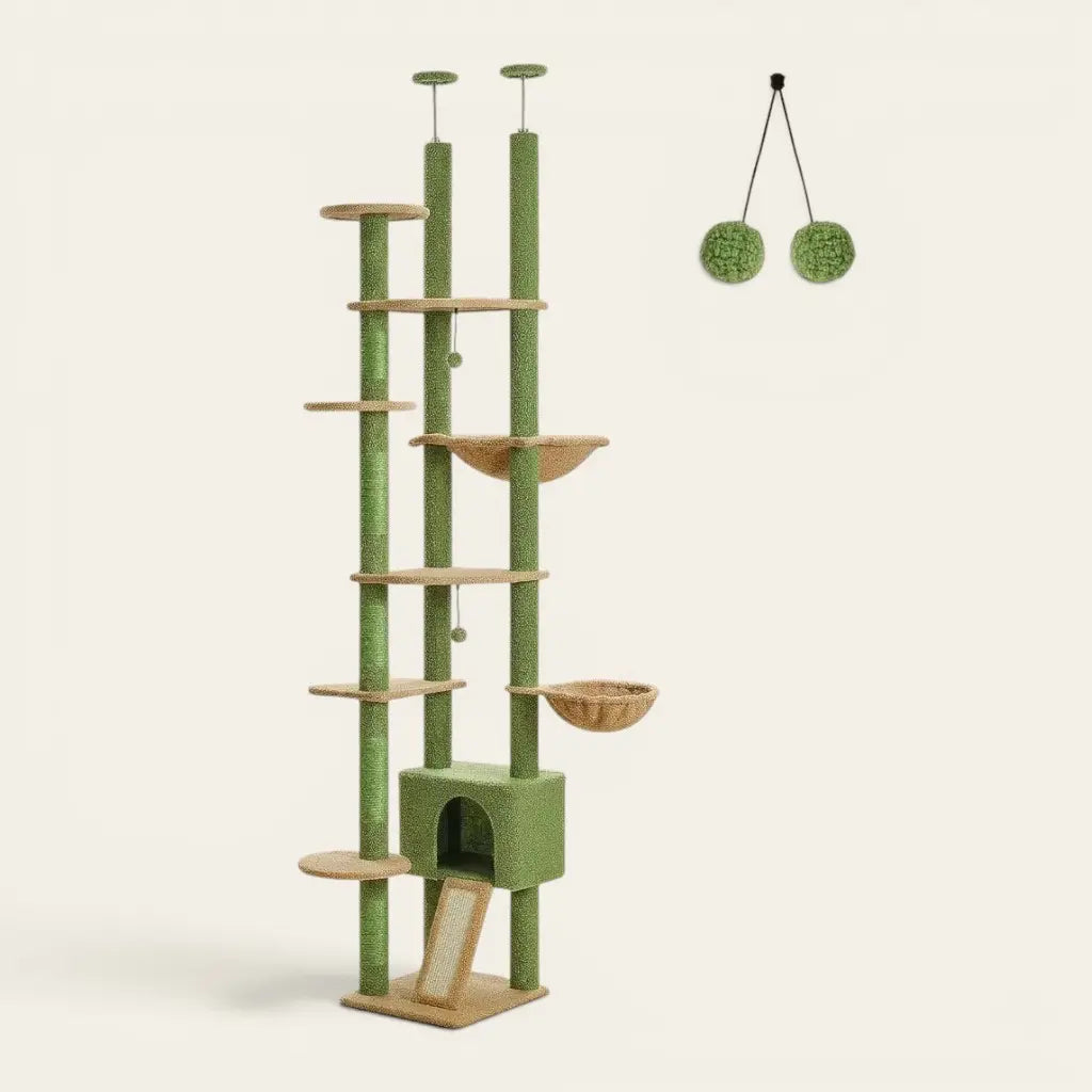 Arbre à chat cactus vert avec plateformes d'escalade, niche intégrée, hamac suspendu et couchages panoramiques