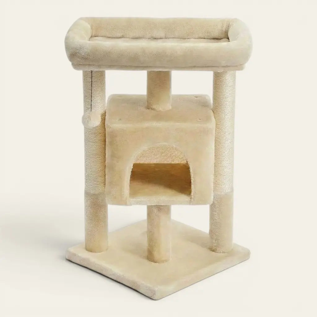 Arbre à chat pour chaton beige avec niche confortable, couchage supérieur et griffoirs résistants