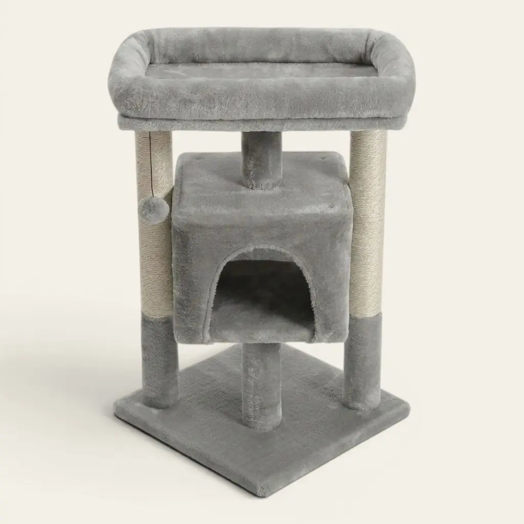 Arbre à chat pour chaton gris avec niche surélevée, plateforme de repos et poteaux griffoirs en sisal