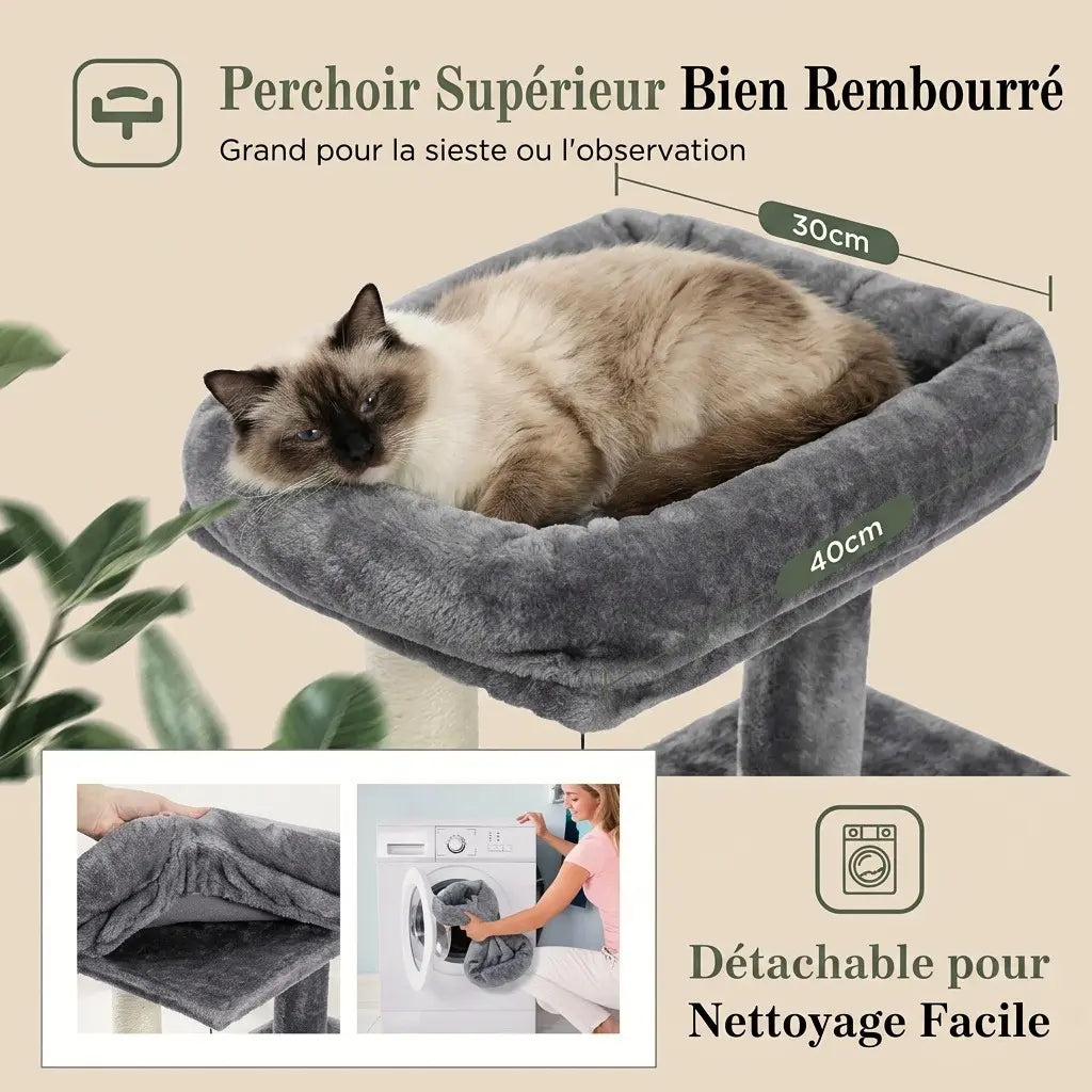 arbre à chat chaton avec perchoir supérieur rembourré et housse détachable pour nettoyage facile