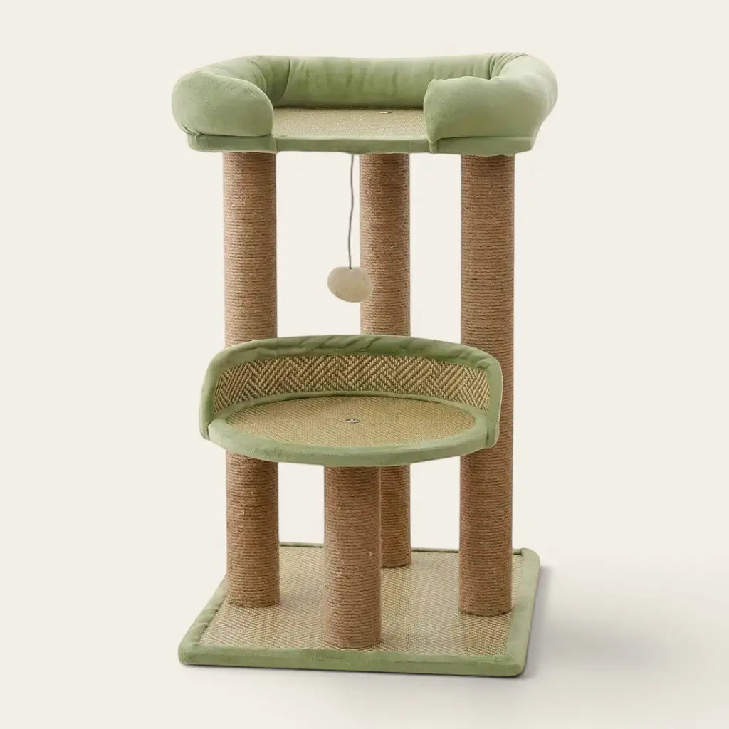 Arbre à chat de luxe vert avec plateformes rembourrées, griffoirs en sisal naturel et couchage surélevé confortable