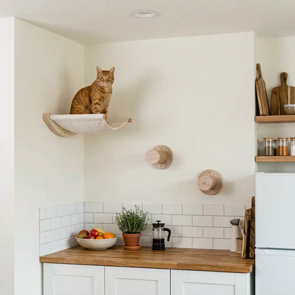 arbre à chat design mural avec hamac mural blanc et plateformes rondes en bois