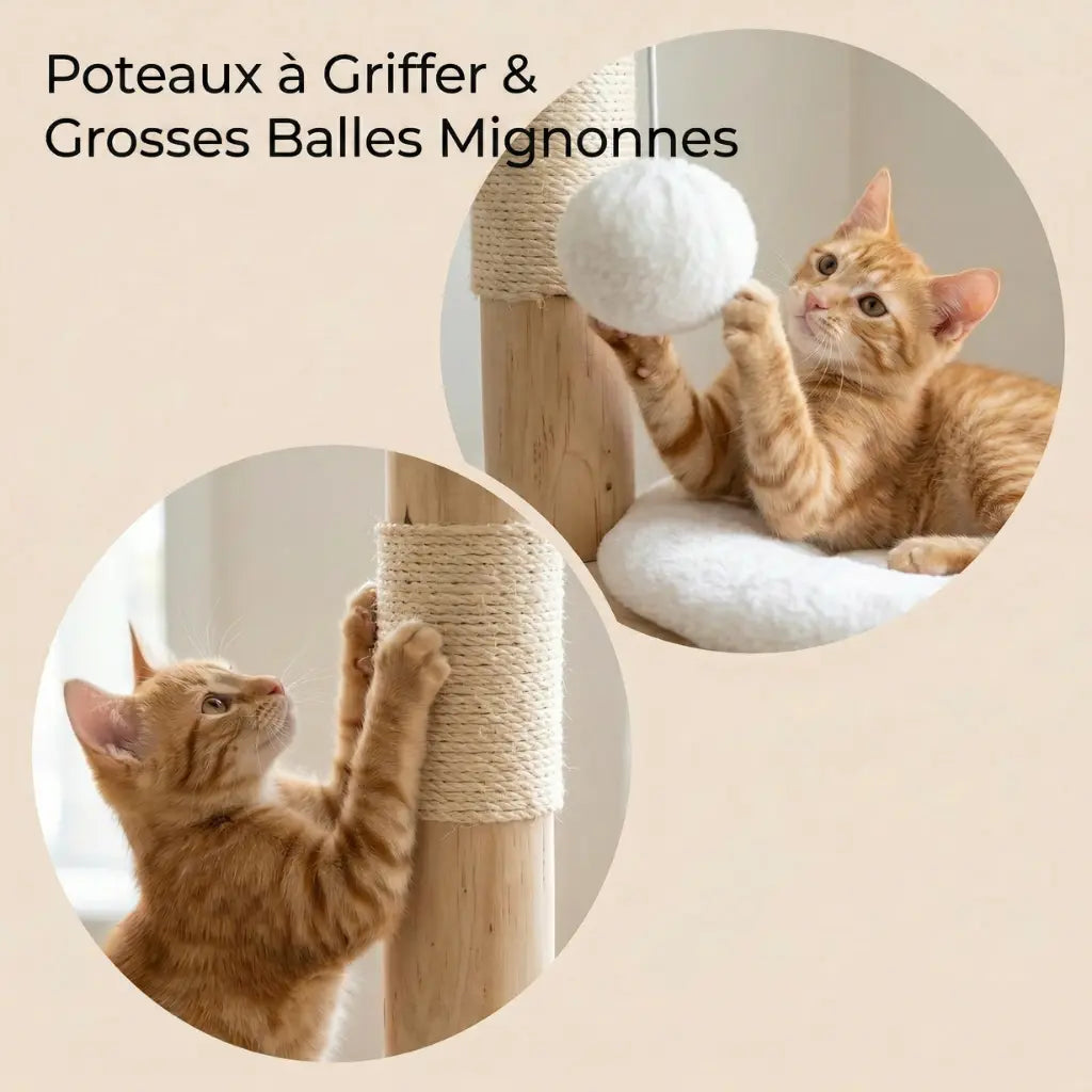 arbre à chat fleur blanc avec poteaux à griffer en sisal et jouets suspendus pour chat