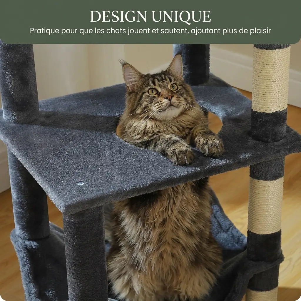 arbre à chat Maine Coon avec plateforme interactive pour jouer et sauter facilement