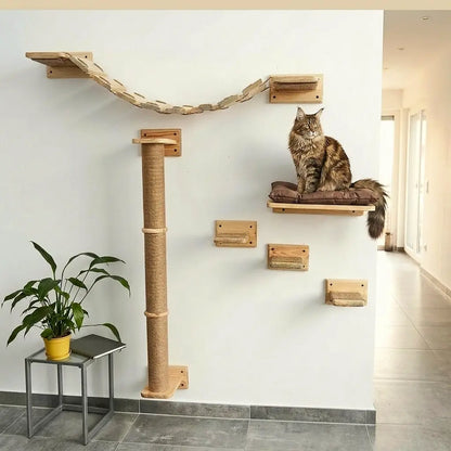 arbre à chat mural maine coon installation complète avec plateformes et griffoirs pour grand chat