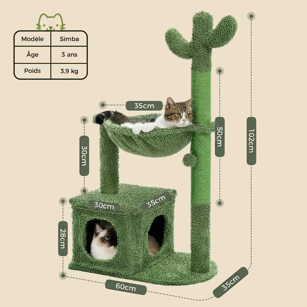 arbre à chat pas cher avec niche hamac et dimensions détaillées pour petit budget