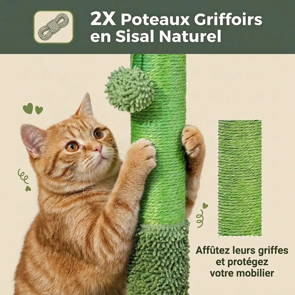 arbre à chat pas cher avec poteaux griffoirs en sisal naturel pour protéger les meubles