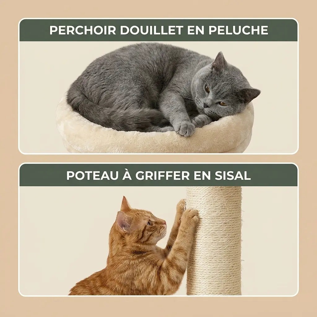 arbre à chat plafond avec perchoir moelleux et poteau à griffer en sisal