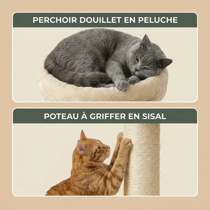 arbre à chat plafond avec perchoir moelleux et poteau à griffer en sisal