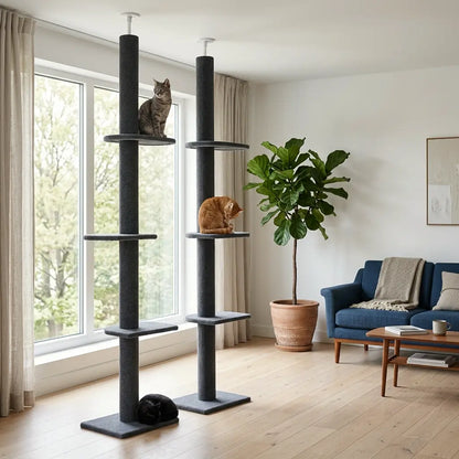 arbre à chat plafond double avec deux colonnes de grimpe et plateformes pour plusieurs chats
