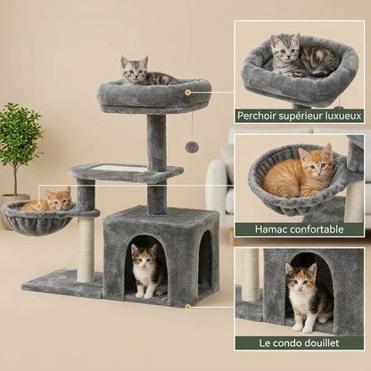 arbre à chat pour chaton gris avec perchoir supérieur hamac confortable et condo douillet