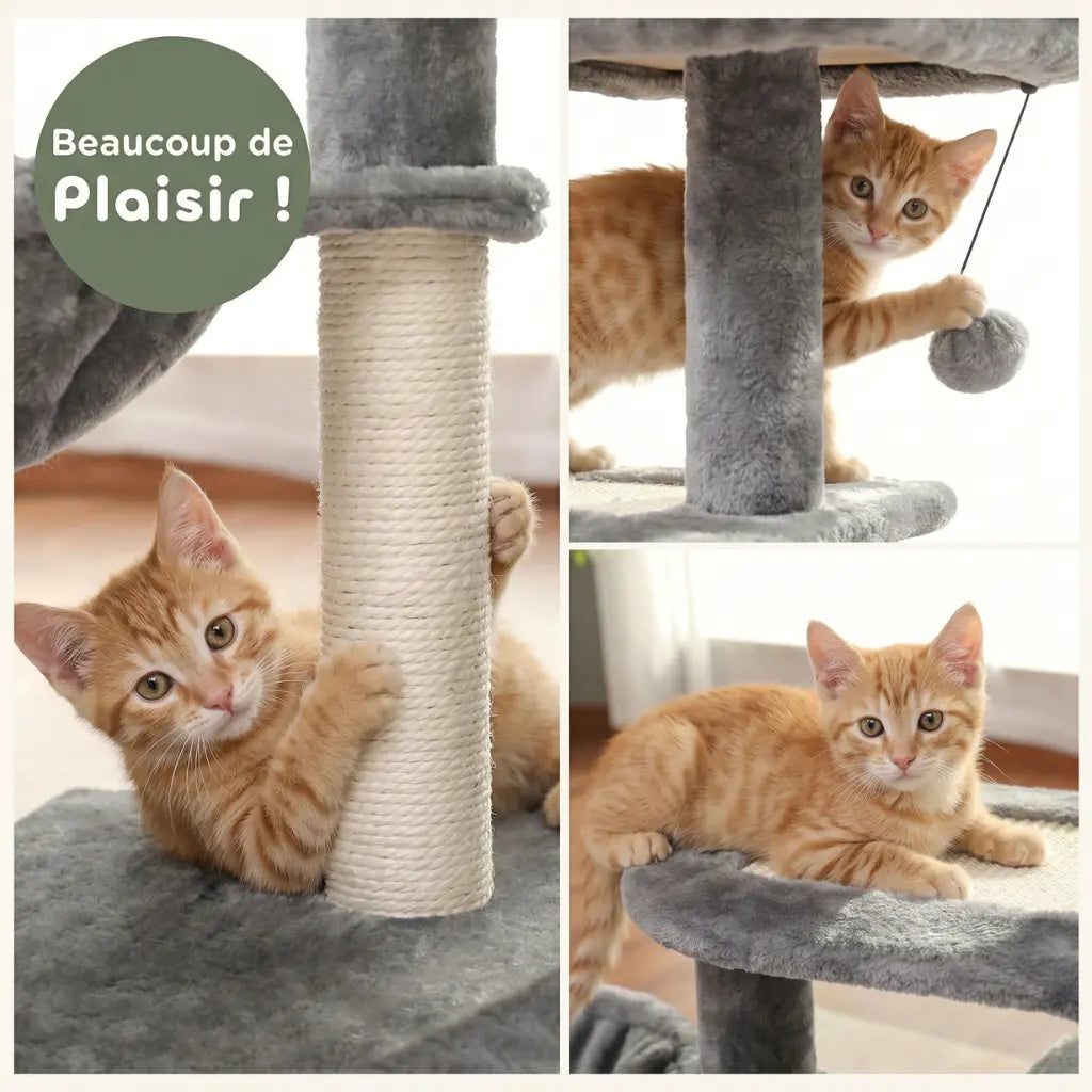 arbre à chat pour chaton gris avec poteau en sisal balle suspendue plateformes de repos et espace de jeu