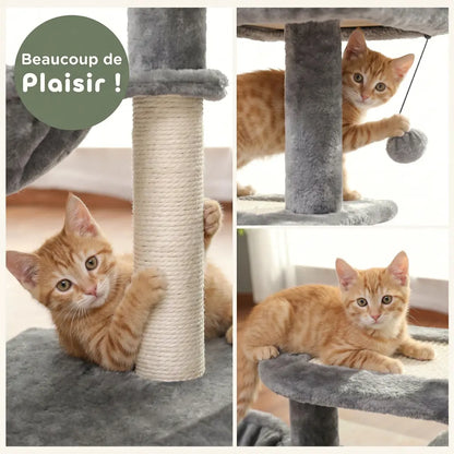 arbre à chat pour chaton gris avec poteau en sisal balle suspendue plateformes de repos et espace de jeu
