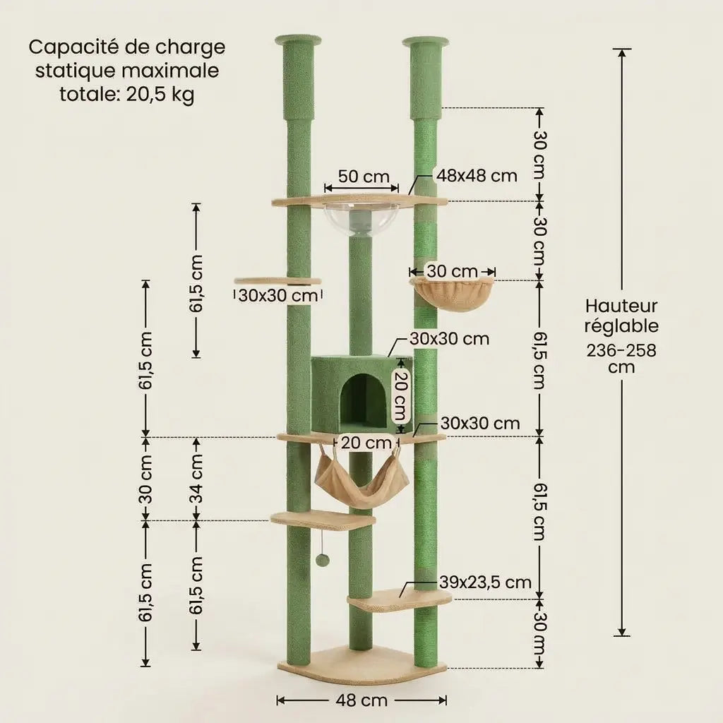 Caractéristiques et dimensions de l’arbre à chat du sol au plafond vert avec bulle transparente, niche et hamac