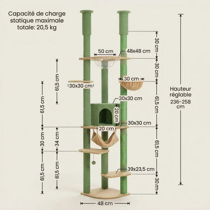 Caractéristiques et dimensions de l’arbre à chat du sol au plafond vert avec bulle transparente, niche et hamac