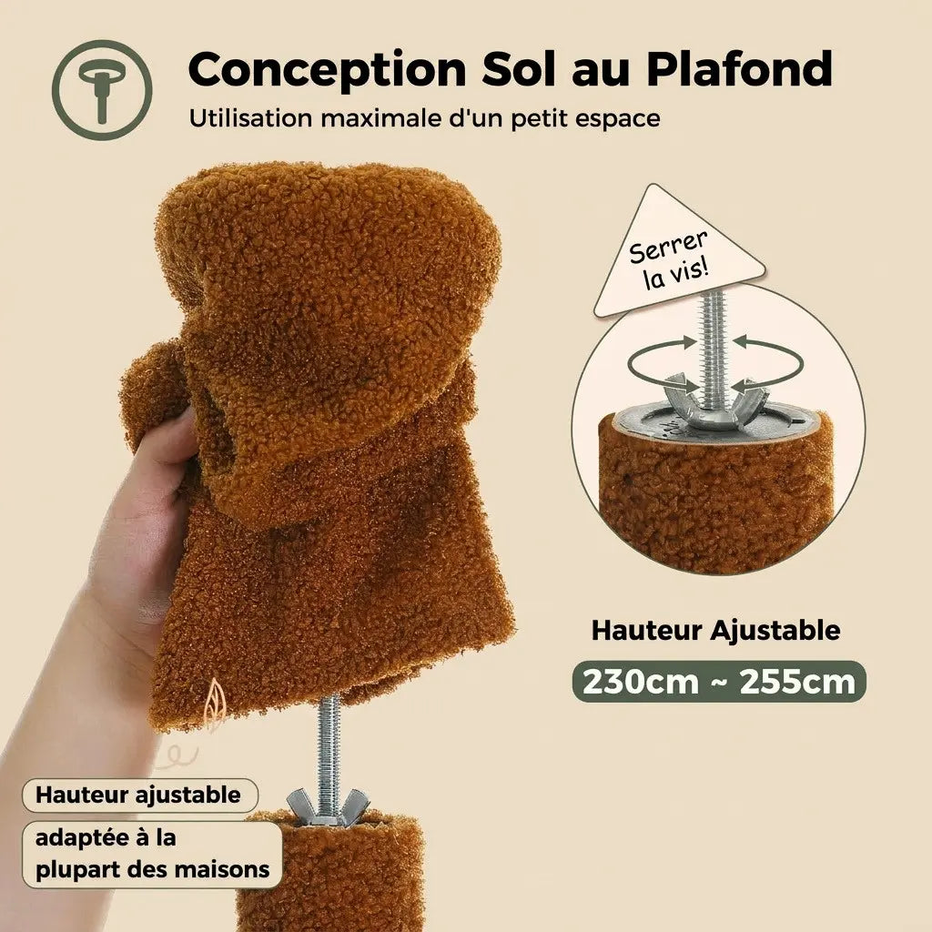 arbre à chat sol-plafond avec hauteur ajustable de 230 à 255 cm pour petit espace