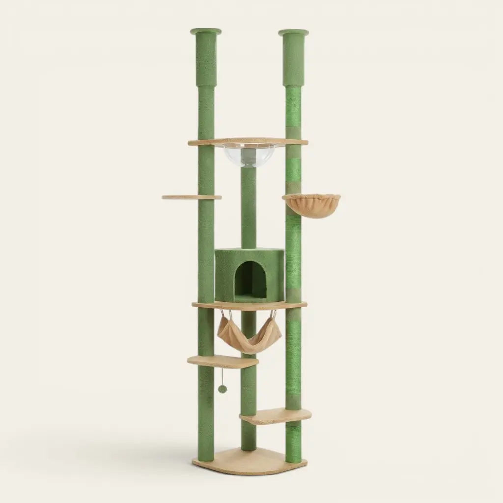 Arbre à chat du sol au plafond vert nature avec niche, hamac, bulle transparente et couchage suspendu