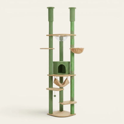 Arbre à chat du sol au plafond vert nature avec niche, hamac, bulle transparente et couchage suspendu